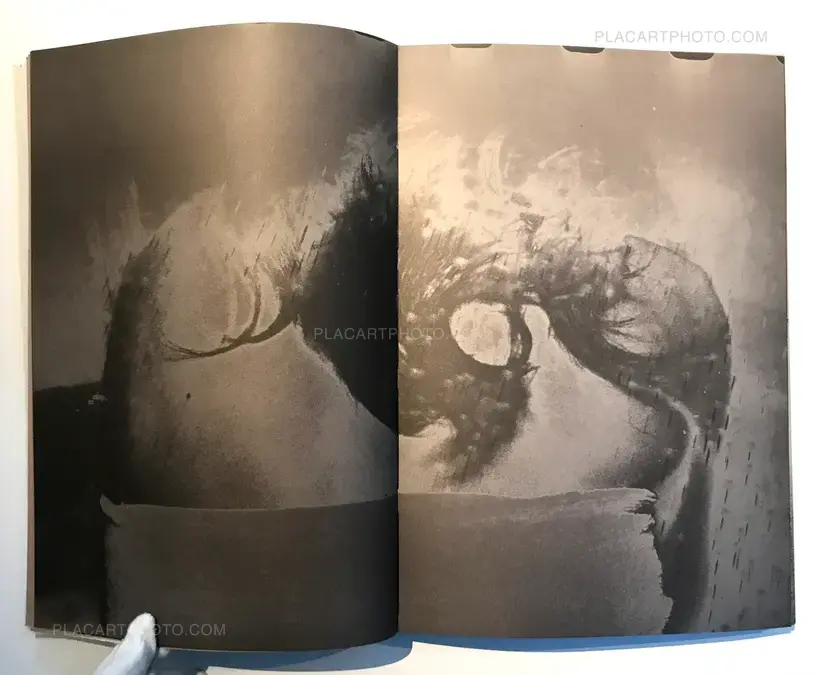 Meat (ARTIST'S EDITION OF 5)