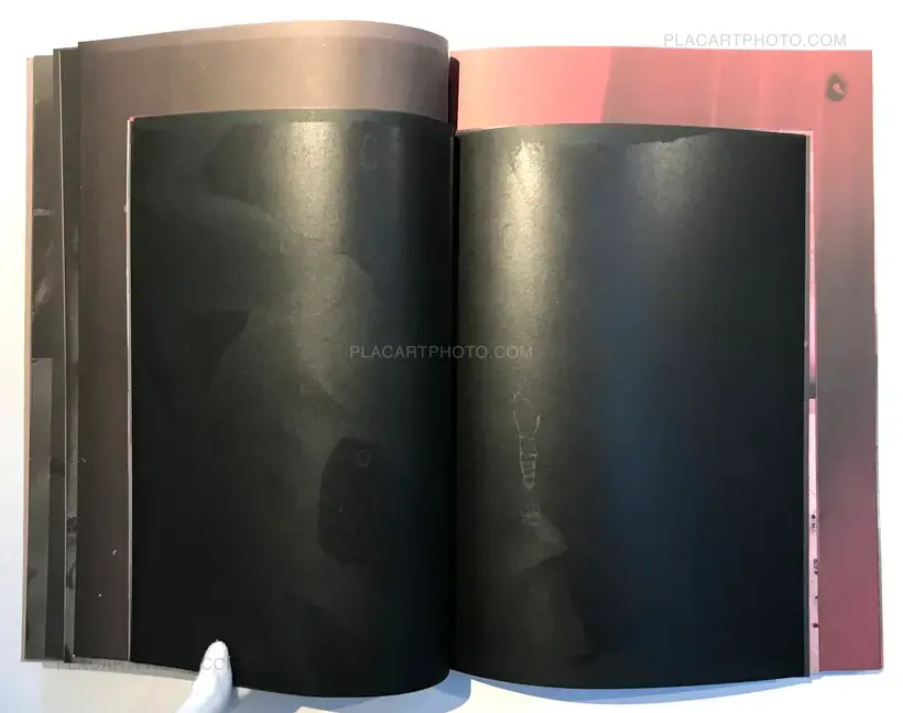 Meat (ARTIST'S EDITION OF 5)