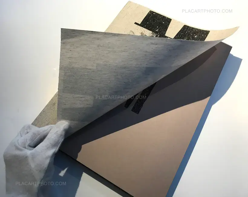 Meat (ARTIST'S EDITION OF 5)