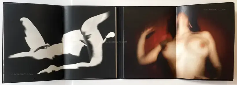 Unseen Seen (Special edition of 30 copies with 2 prints)