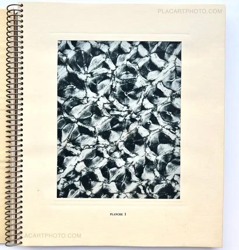 MICROGRAPHIE DÉCORATIVE