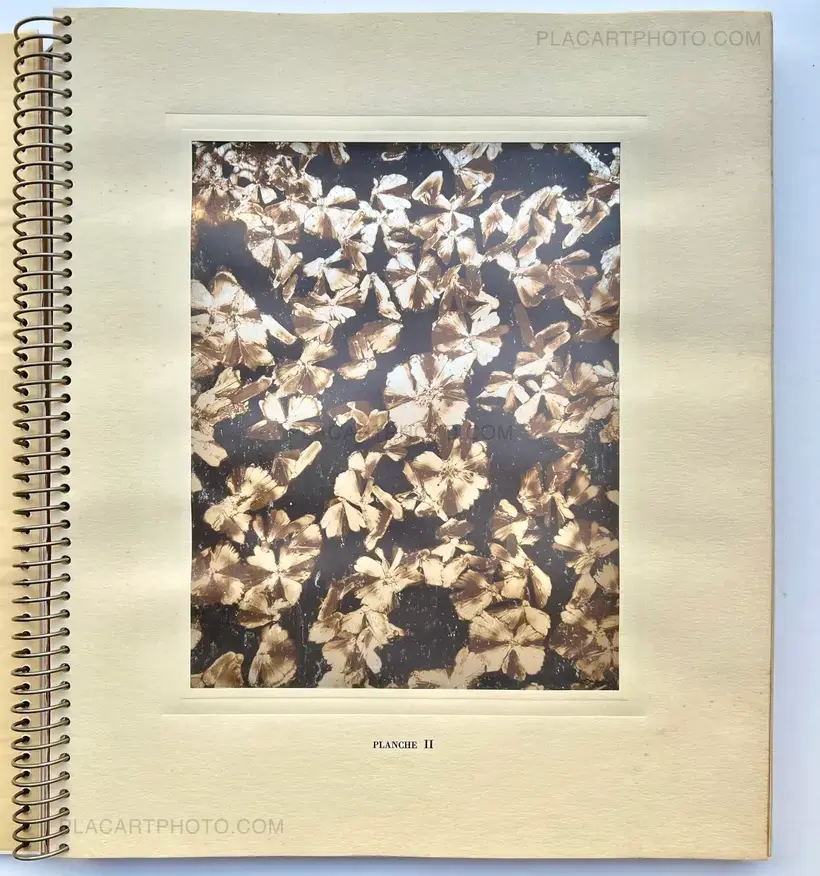 MICROGRAPHIE DÉCORATIVE