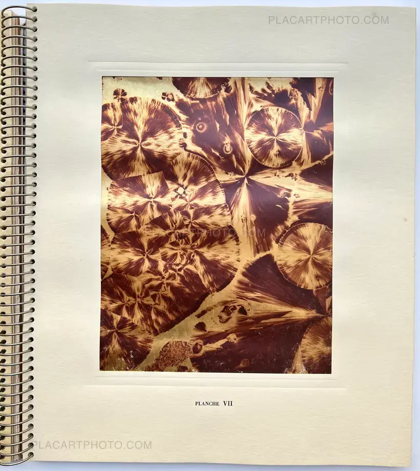 MICROGRAPHIE DÉCORATIVE