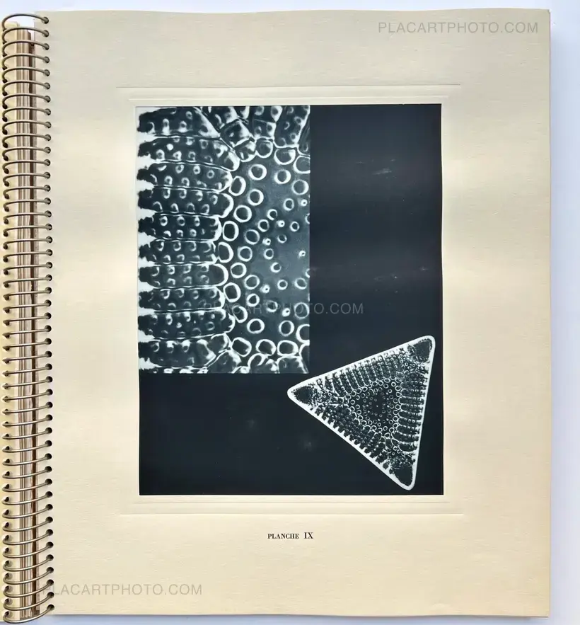 MICROGRAPHIE DÉCORATIVE