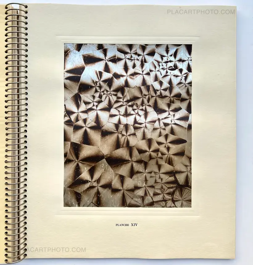 MICROGRAPHIE DÉCORATIVE