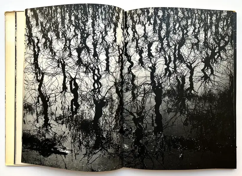 Camargue Secrète (ASSOCIATION COPY)