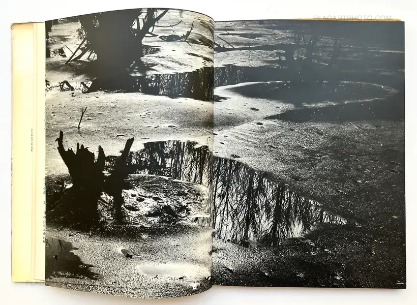 Camargue Secrète (ASSOCIATION COPY)