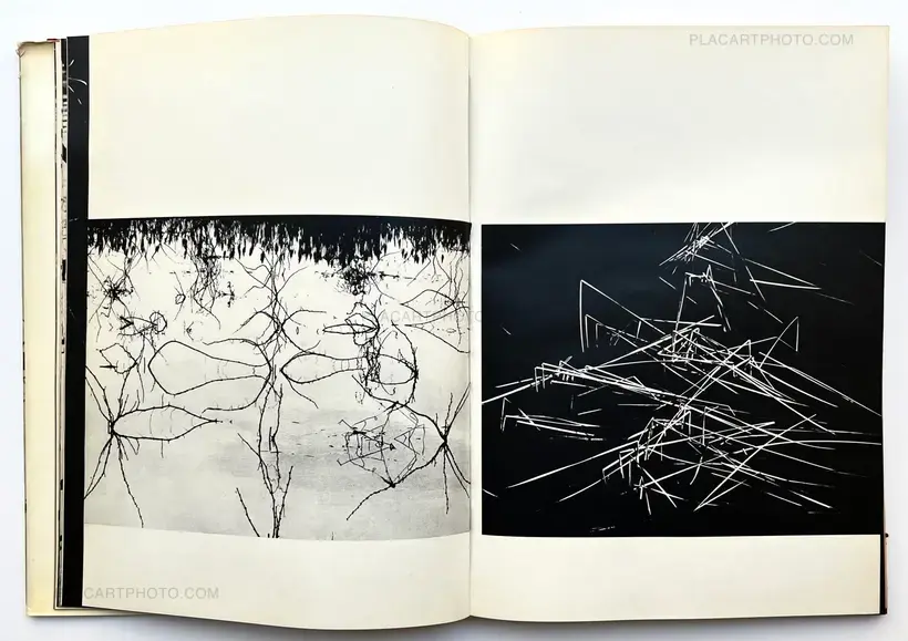 Camargue Secrète (ASSOCIATION COPY)