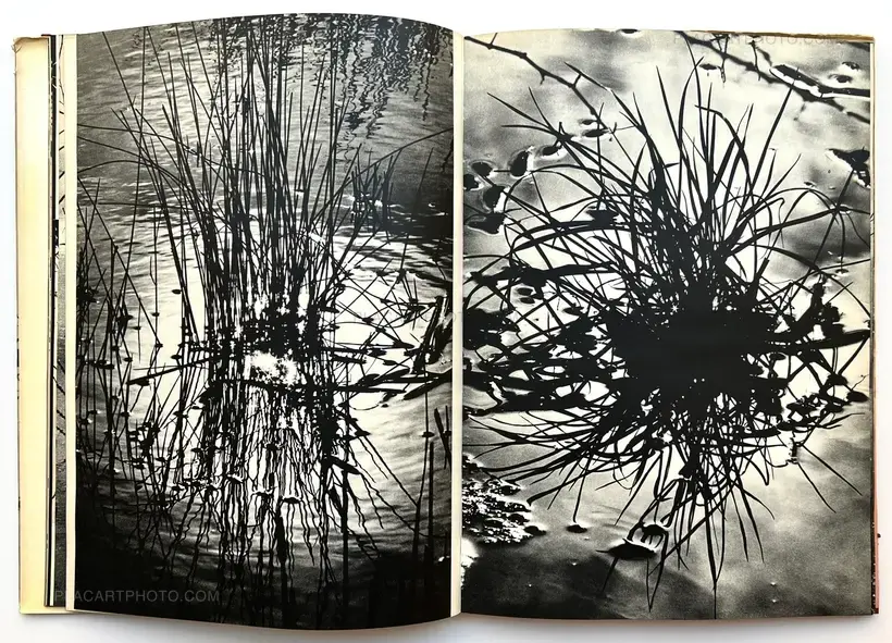 Camargue Secrète (ASSOCIATION COPY)