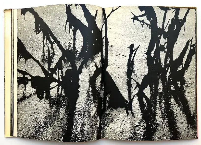 Camargue Secrète (ASSOCIATION COPY)