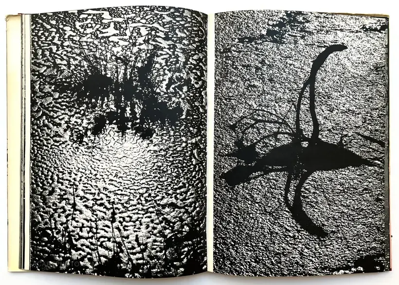 Camargue Secrète (ASSOCIATION COPY)