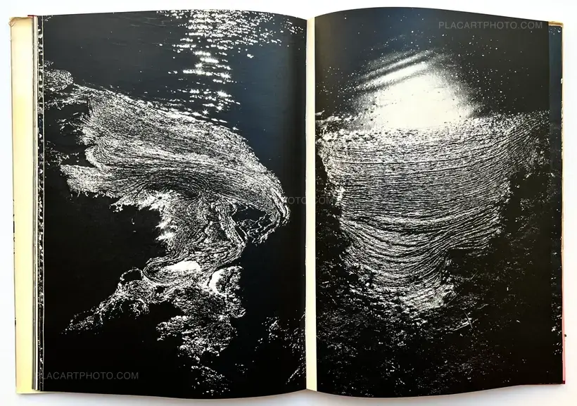 Camargue Secrète (ASSOCIATION COPY)