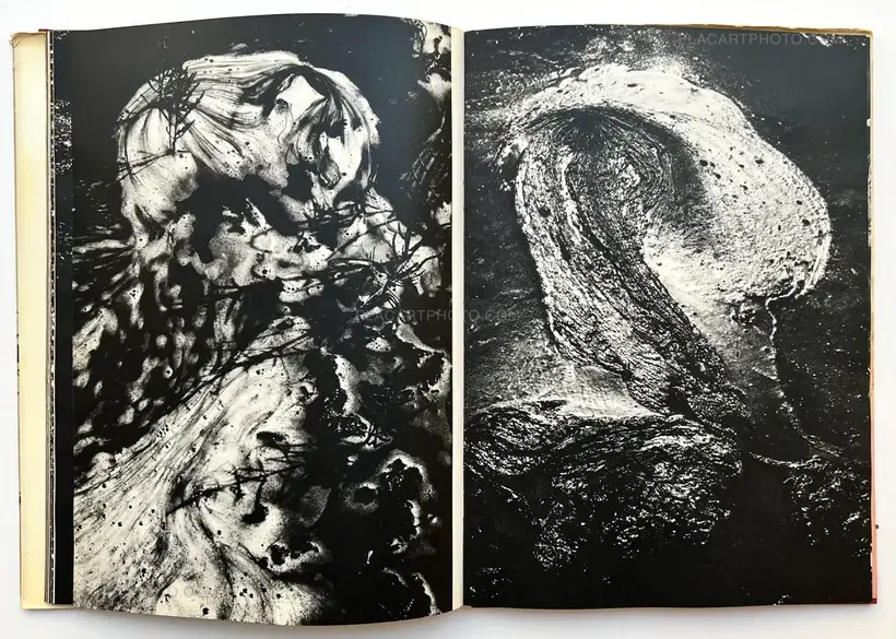 Camargue Secrète (ASSOCIATION COPY)