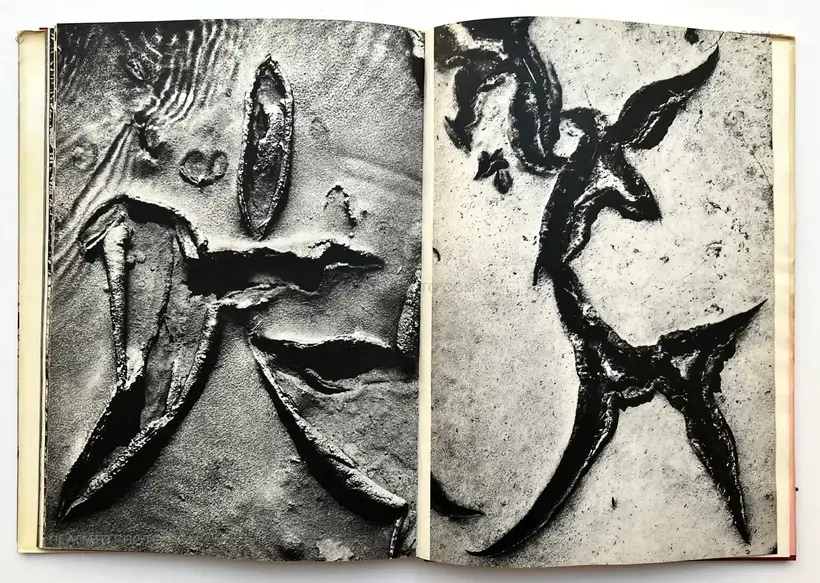 Camargue Secrète (ASSOCIATION COPY)