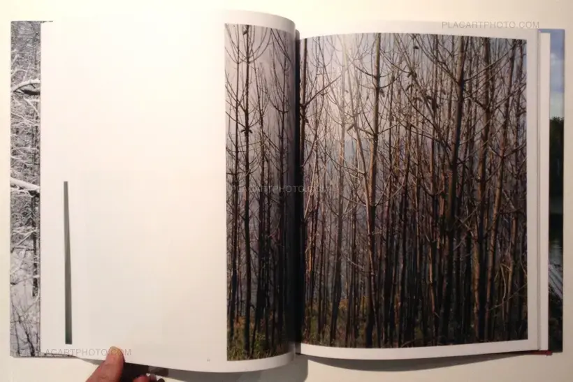 Rewind the photographs (Signed)