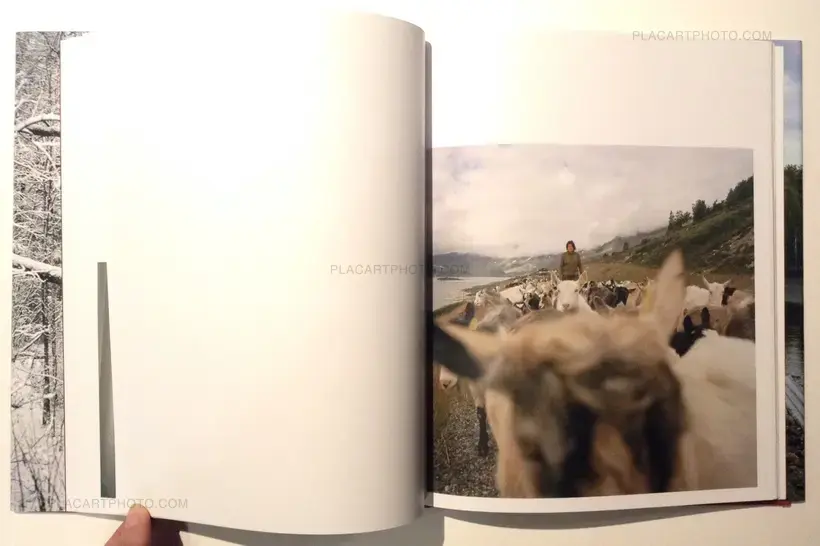 Rewind the photographs (Signed)