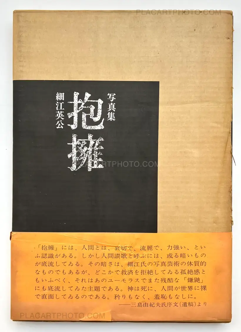 Embrace (ASSOCIATION COPY)