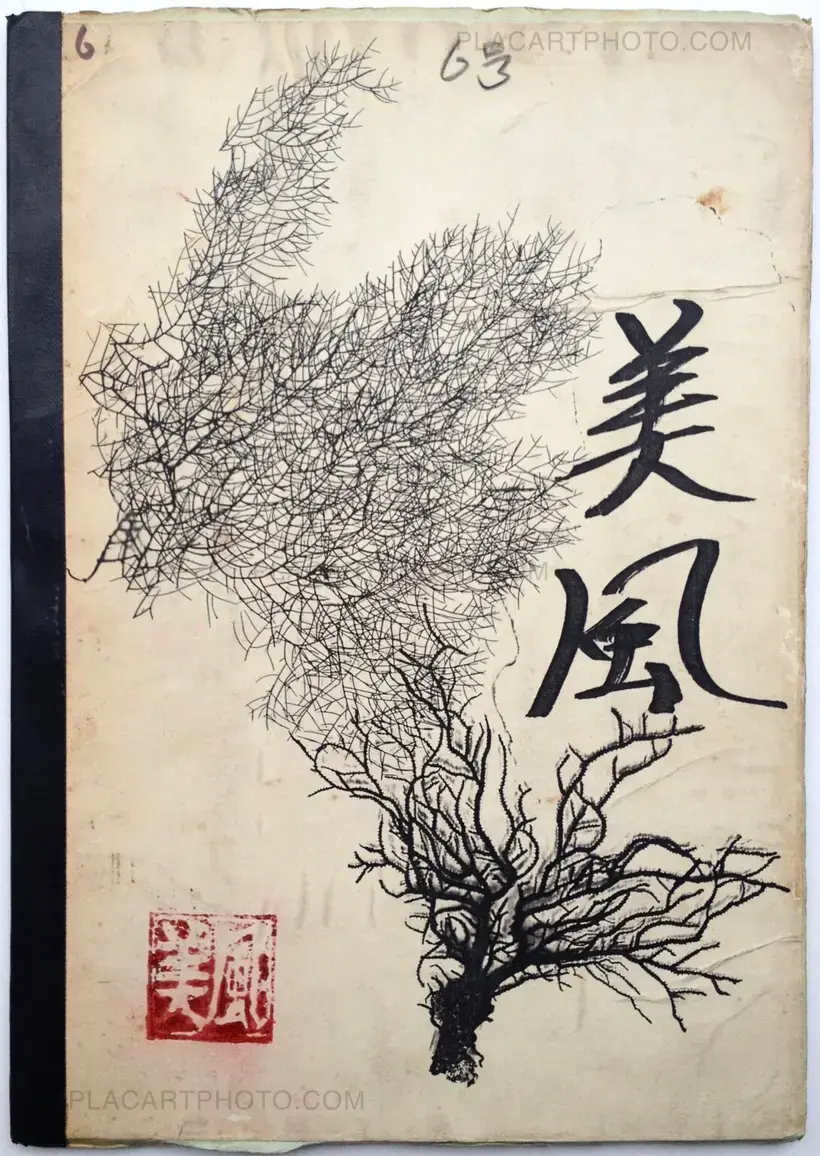 Bifuu complete set (12 vol)