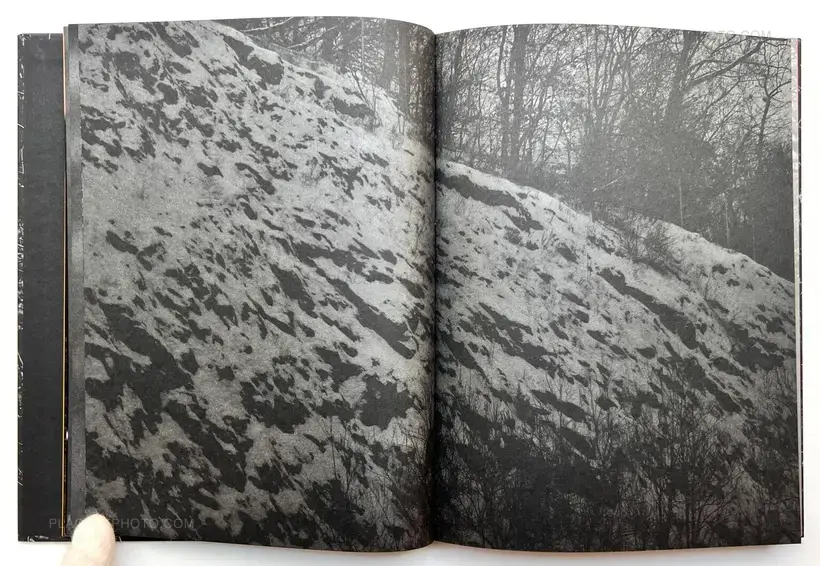 The Moon Belongs to Everyone (SIGNED)