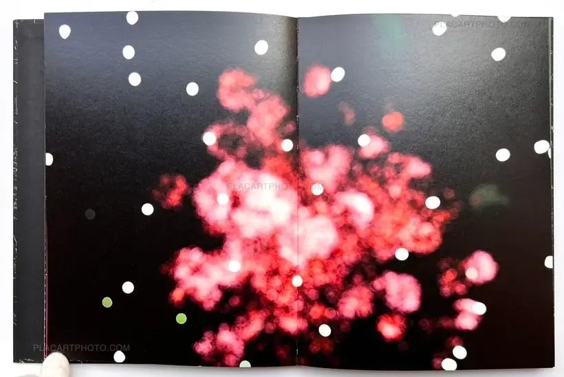 The Moon Belongs to Everyone (SIGNED)