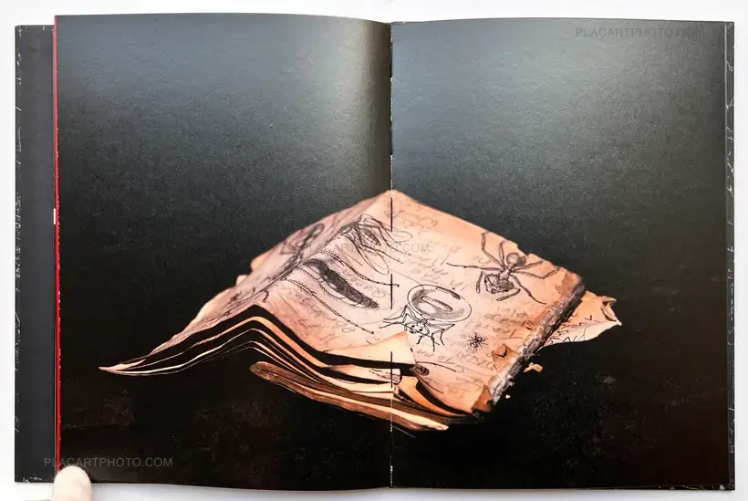 The Moon Belongs to Everyone (SIGNED)