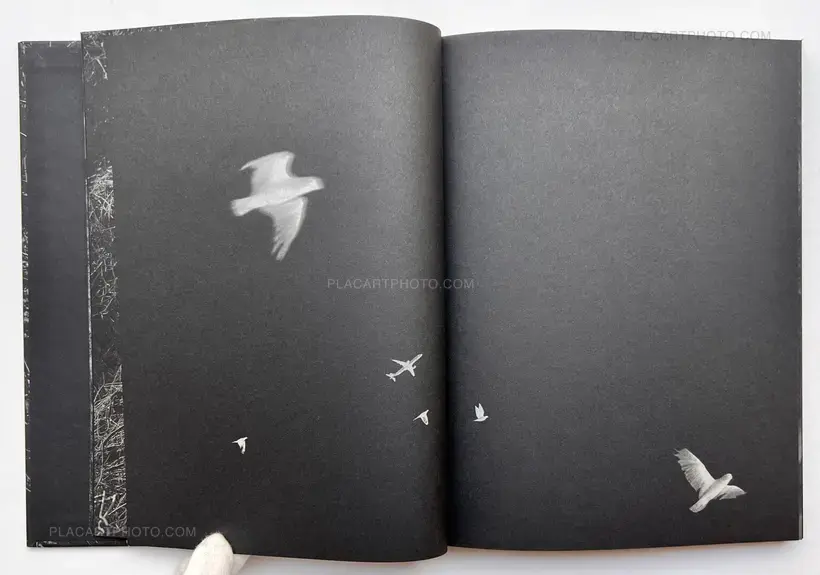 The Moon Belongs to Everyone (SIGNED)