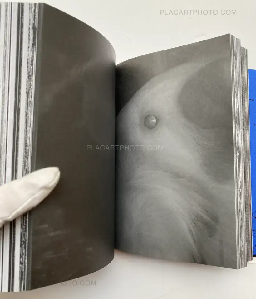 Photography 写真 (Last copy, seald copy, blue cover)