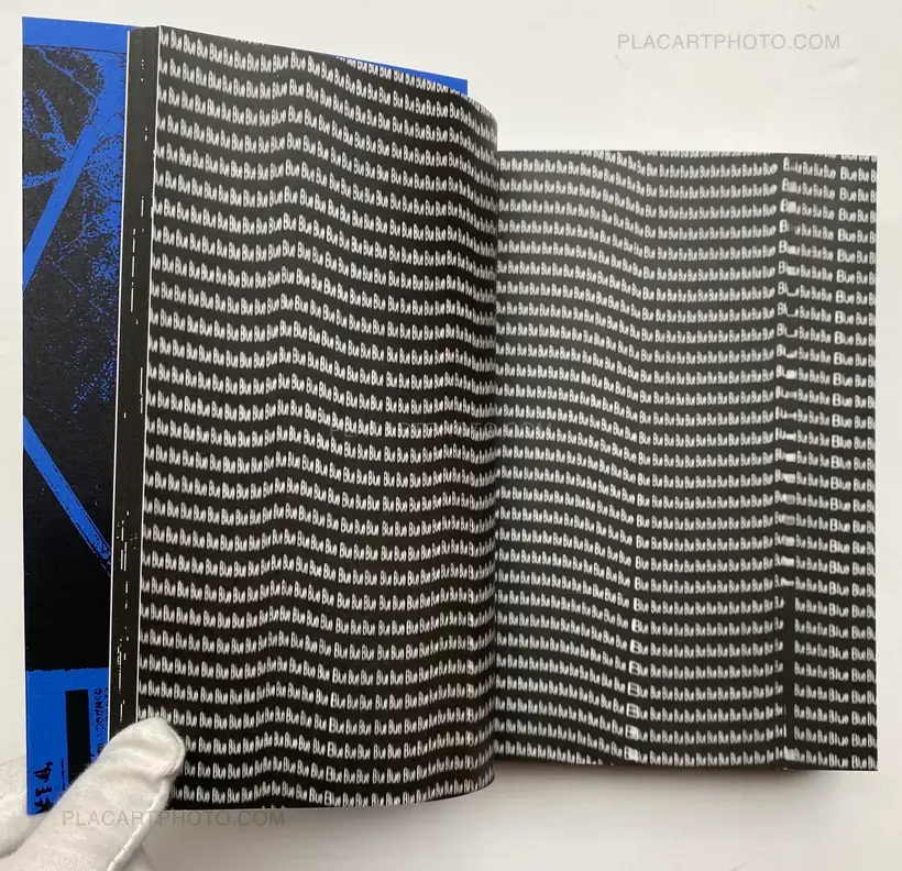 Photography 写真 (Last copy, seald copy, blue cover)