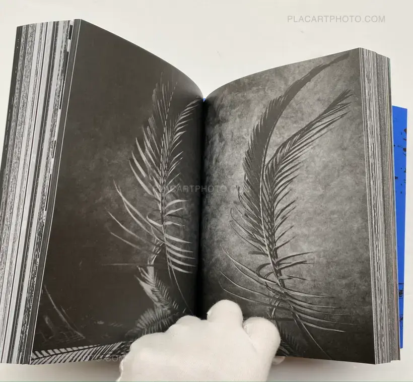 Photography 写真 (Last copy, seald copy, blue cover)