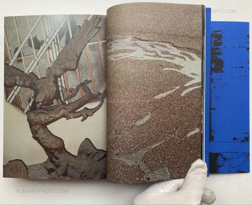 Photography 写真 (Last copy, seald copy, blue cover)