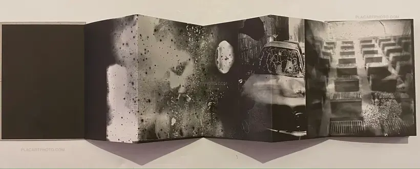 Amartema (Edt of 100)