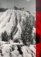 As far as my eyes can see.