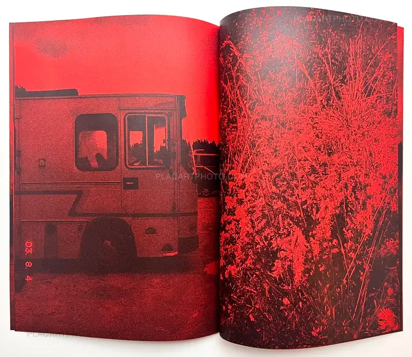 As far as my eyes can see.