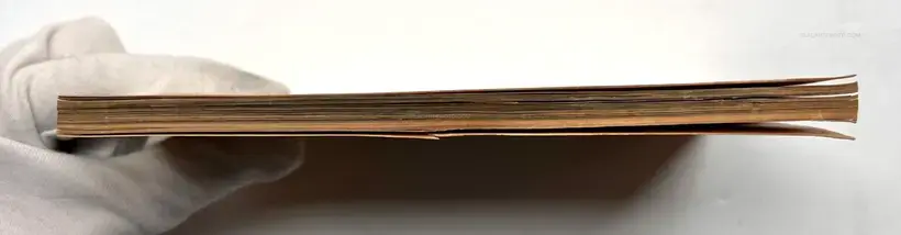 Gli algerini in guerra