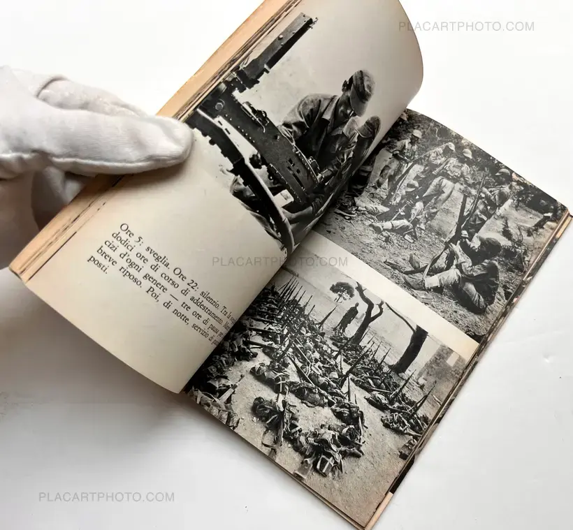 Gli algerini in guerra