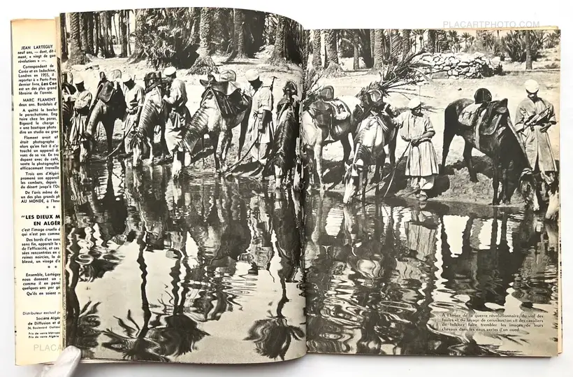 LES DIEUX MEURENT EN ALGERIE