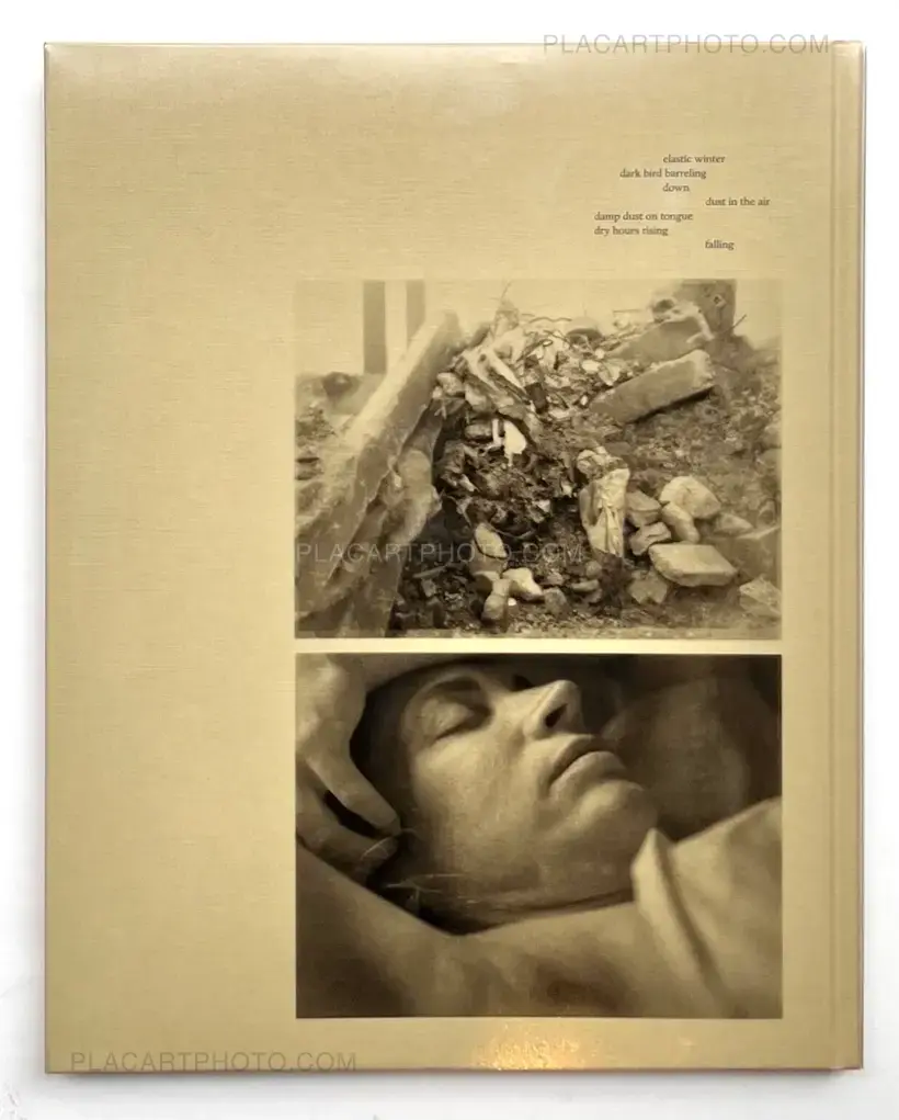 ciprian honey cathedral