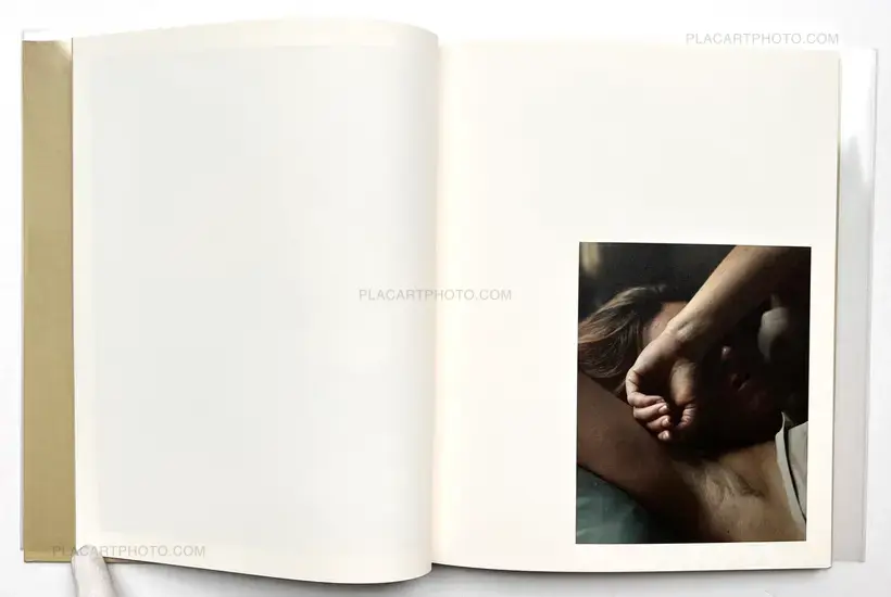 ciprian honey cathedral