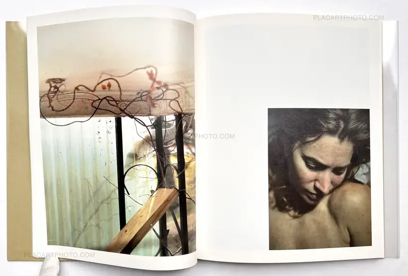 ciprian honey cathedral