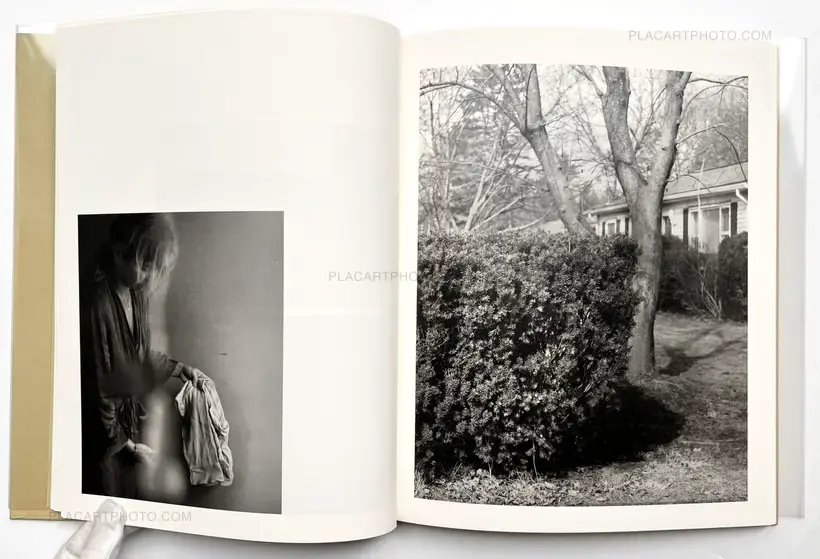 ciprian honey cathedral