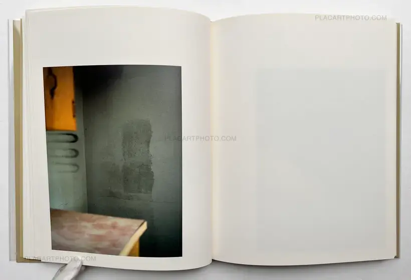 ciprian honey cathedral