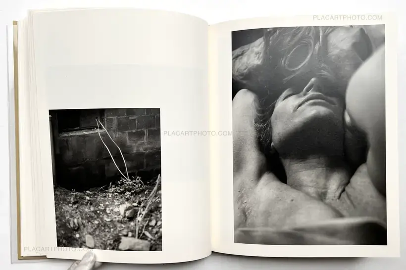 ciprian honey cathedral