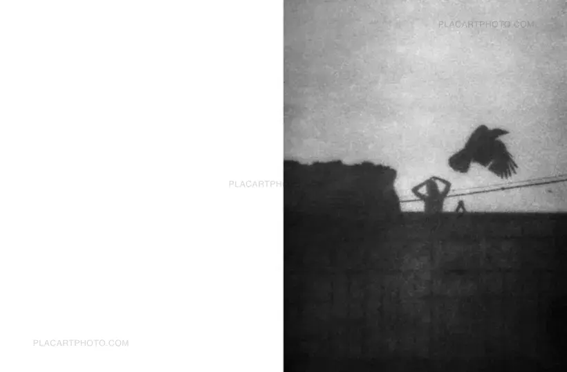 Passenger (Special Edition 29/30)