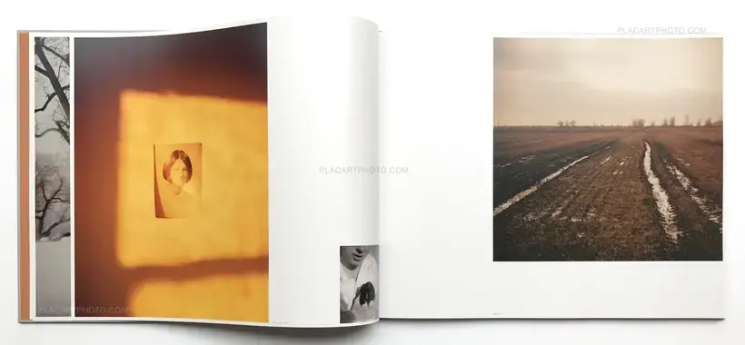 Excerpts from Silver Meadows