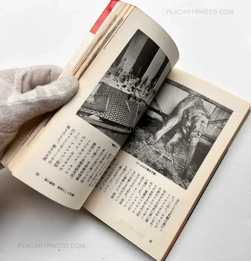 Journey to photography