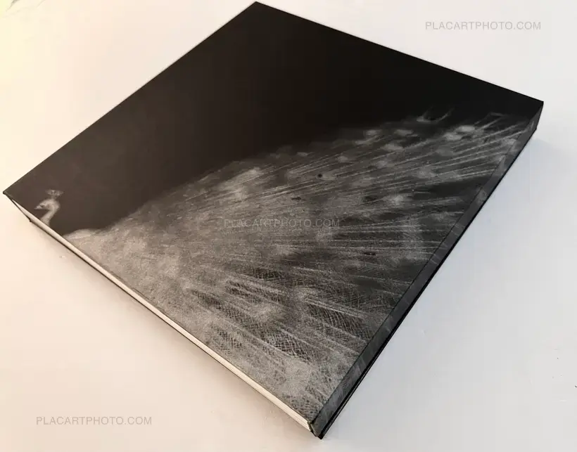 and, do you still hear the peacocks?