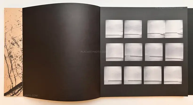 and, do you still hear the peacocks?