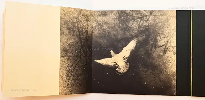 and, do you still hear the peacocks?