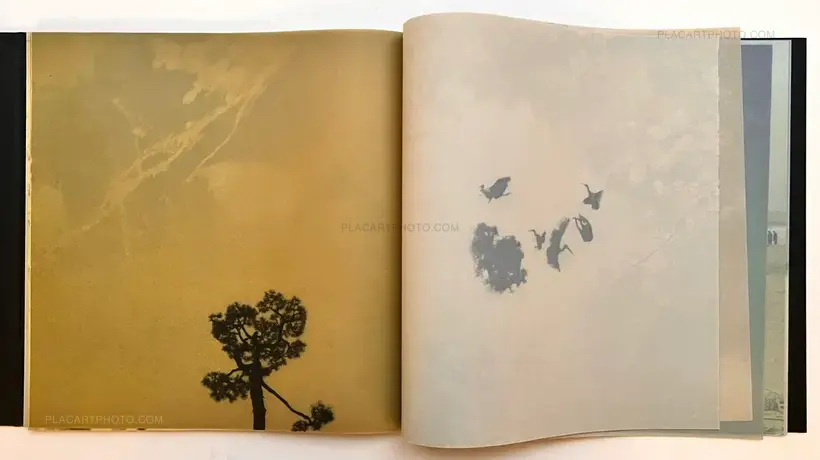 and, do you still hear the peacocks?