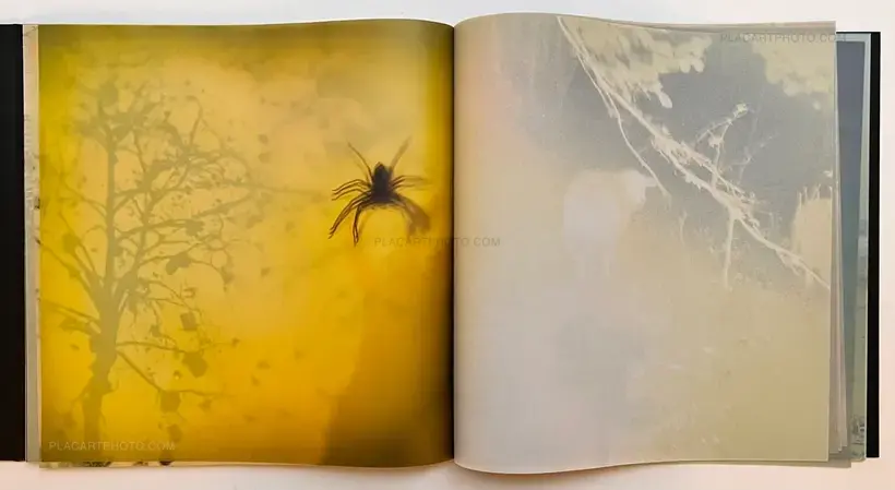 and, do you still hear the peacocks?